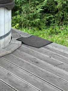 Хвойный Лес - 65