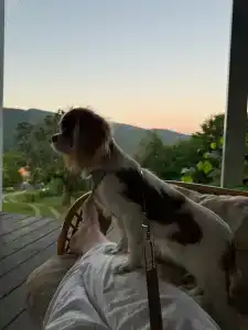 Домики the.small.hill.house - 35