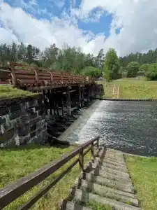 Пралеска - 25