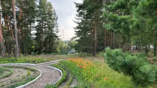 Сура - 26