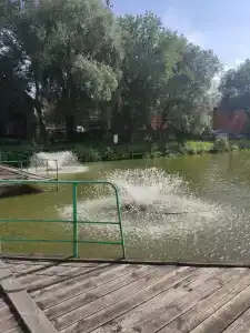 Русская рыбалка - 21