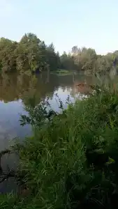 Усть-Кут - 40