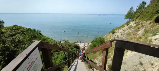 Сосновый берег+ - 0