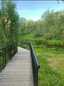 Кедровый Лог - 30