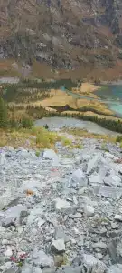 Замульта кемп - 39