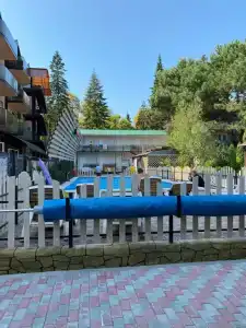 Алмаз - 42