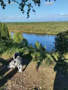 Охотничья слобода - 7