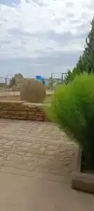 Луч - 49