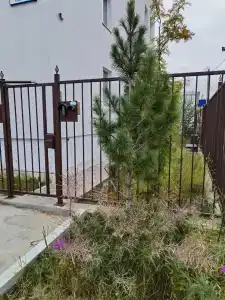 Заозерный - 16