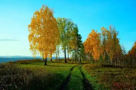 Серебряный ключ - 1