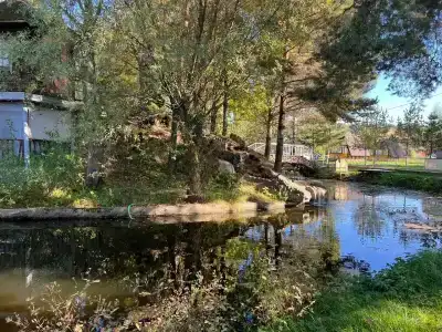 Троицкое - 20