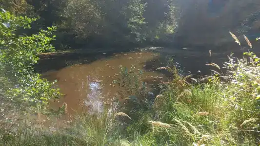 Улыбышево - 48