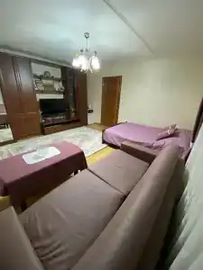 Гостевой дом в Центральном Парке - 51