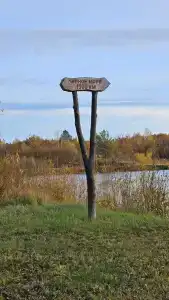 Березинская Дубрава - 48