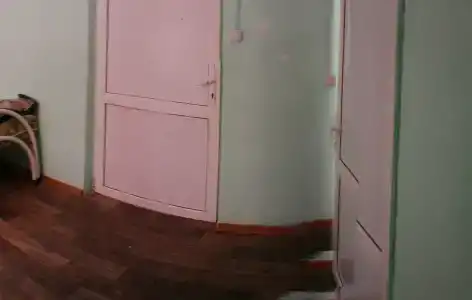 Золотой колос - 16