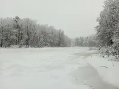 Улыбышево - 50