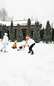 Степаново - 20