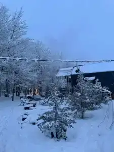Лесной уголок - 34