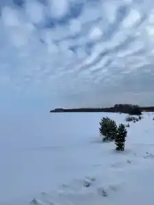 Глэмпинг Ветрено - 82