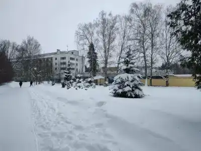 Березки - 4