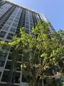 The Base Central Pattaya By Nkl - 13