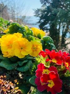 Морская Резиденция Санторини - 39