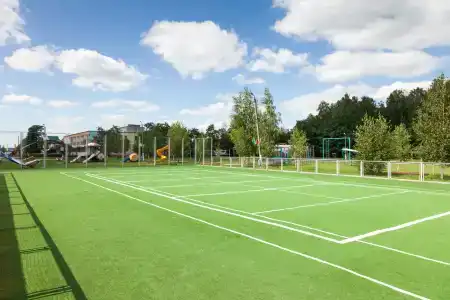 Росинка - 5
