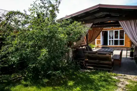 Бодрый Лось - 50