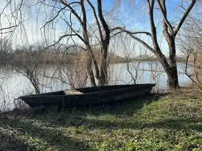 Гнездо - 29