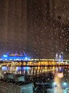 Питерлэнд - 41