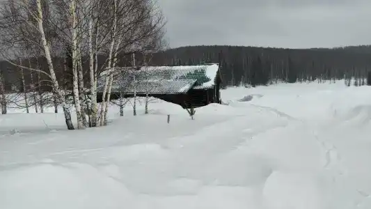 Берлога - 23