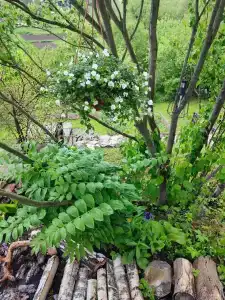 Подворье - 64