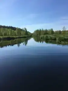 Куха Губа - 27