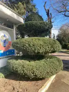 Евпаторийский детский клинический санаторий - 87