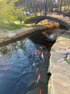 Загородное - 41