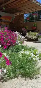 Усадьба Две Сестры - 5