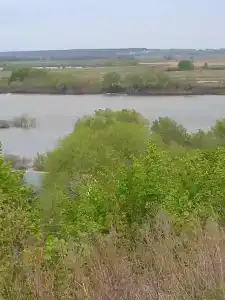 База отдыха у Михалыча - 30