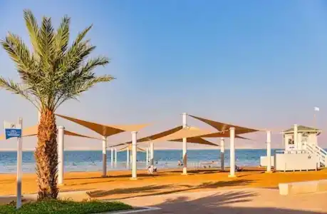 Daniel Dead Sea - 23