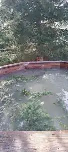 Зель-Диего - 39