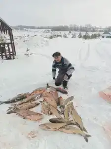 Колючий окунь - 45