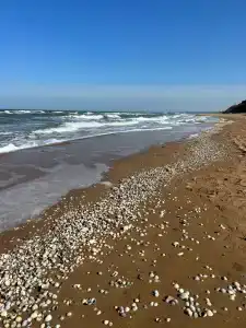 Лайт Бриз - 3