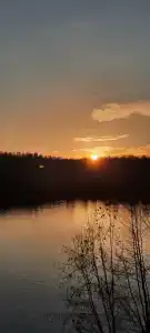 Берёзка - 20