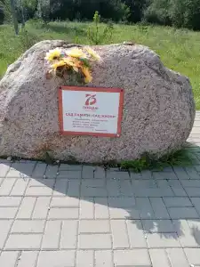 Красный Бор - 49