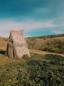 Аргамач - 36