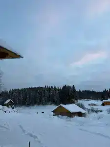 Родники - 42