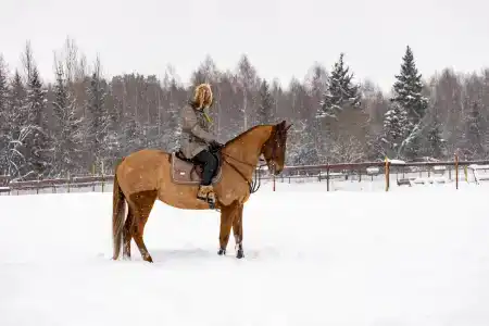 Четыре Сезона - 42