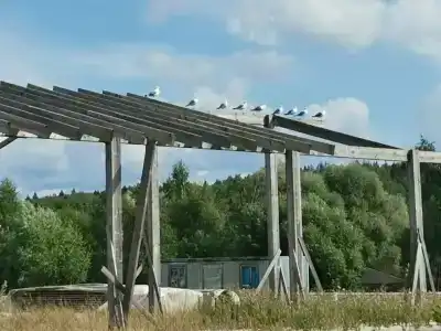 Ice-пляж - 3
