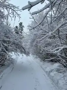 Полушкино - 31