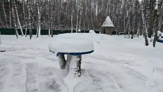 Лесная Усадьба - 9