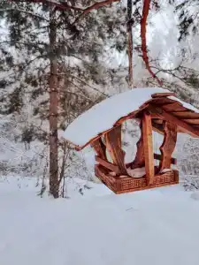 Комфорт Хаус - 11